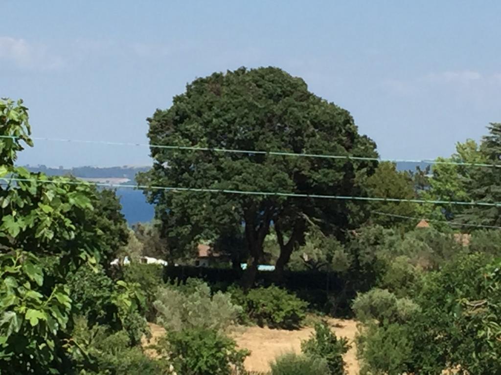 Eco Home Bracciano  Buitenkant foto